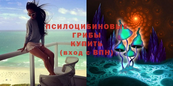 герыч Богородск