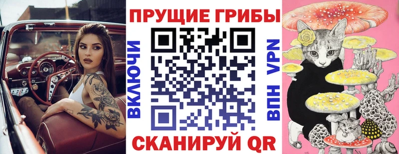 Псилоцибиновые грибы прущие грибы  кракен рабочий сайт  Югорск 